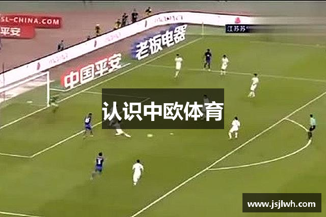 认识中欧体育